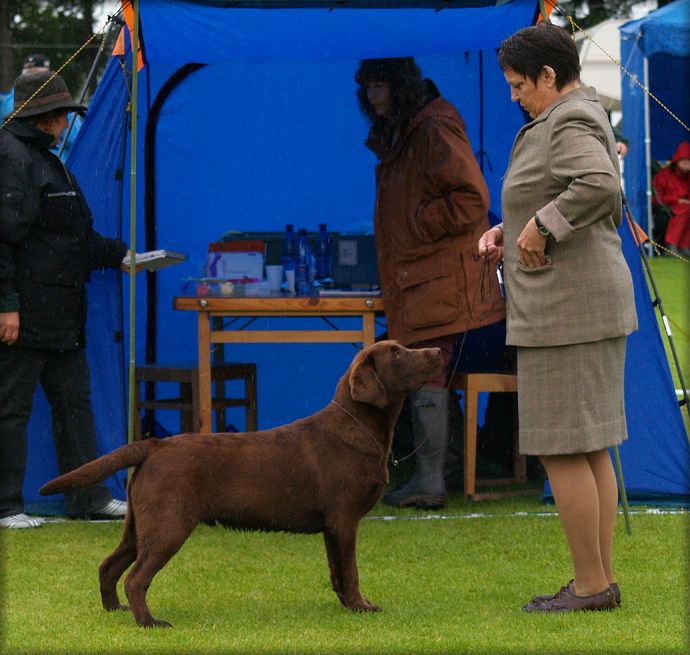 Goodwill @ 6� months